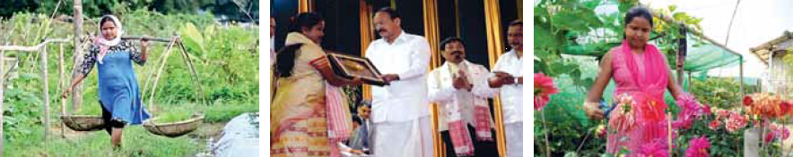 story image