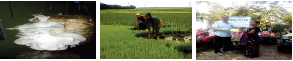 Farmer sucess Stories