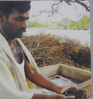 story image