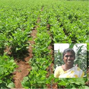 Farmer sucess Stories