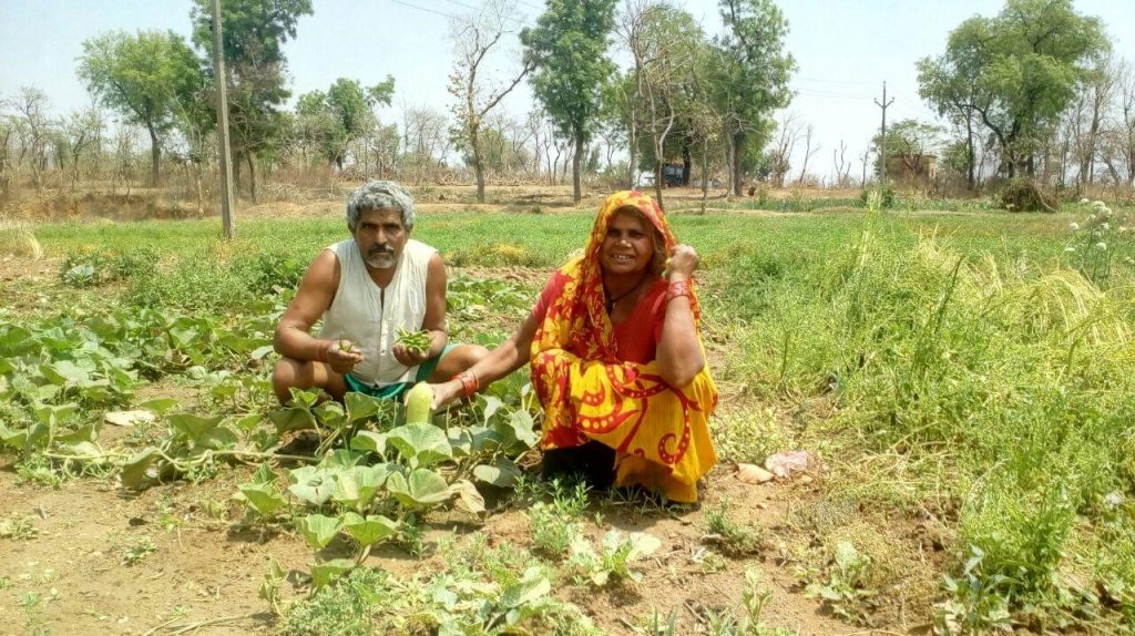 story image